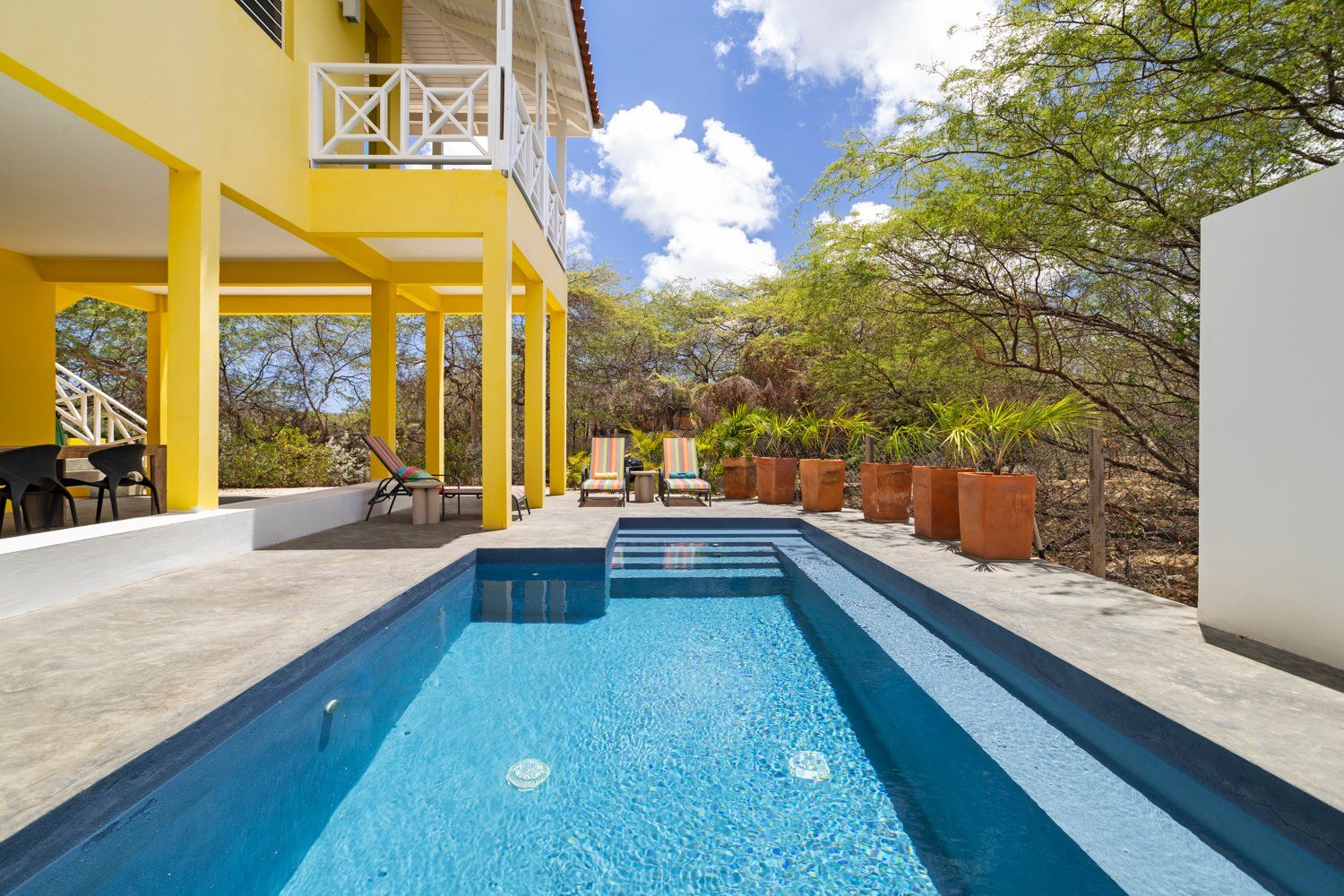 Yellow Garden 15
