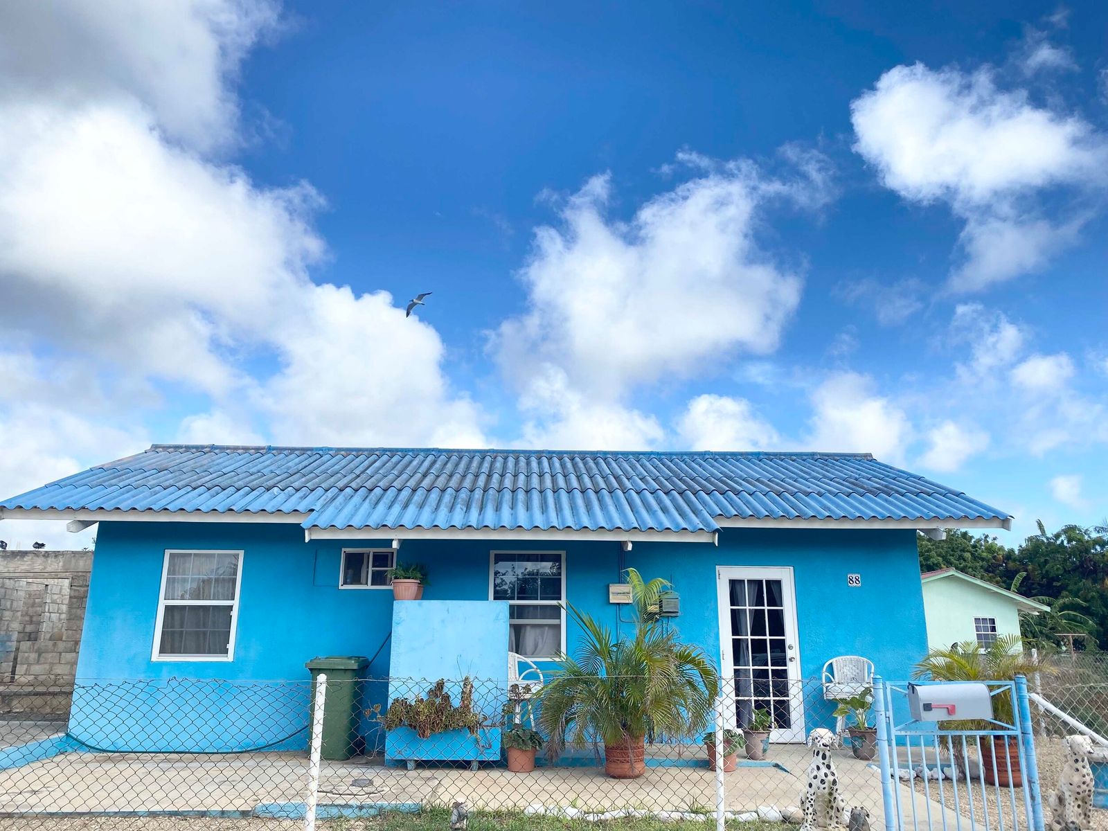 House in Bonaire — photo 3