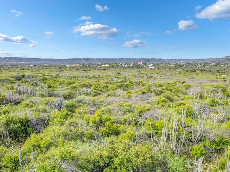 Buena Vista – Lot in Bonaire