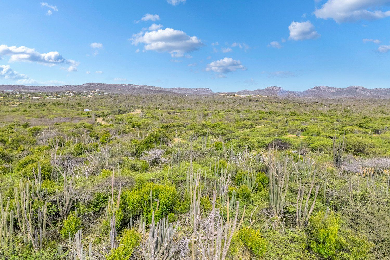 Lot in Bonaire — photo 3