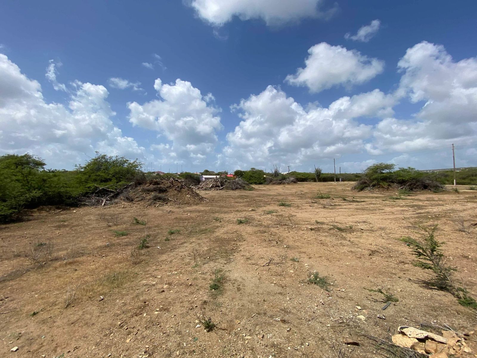 Commercial in Bonaire — photo 4