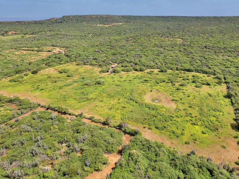 Kaminda Seru Grita Kabai – Lot in Bonaire