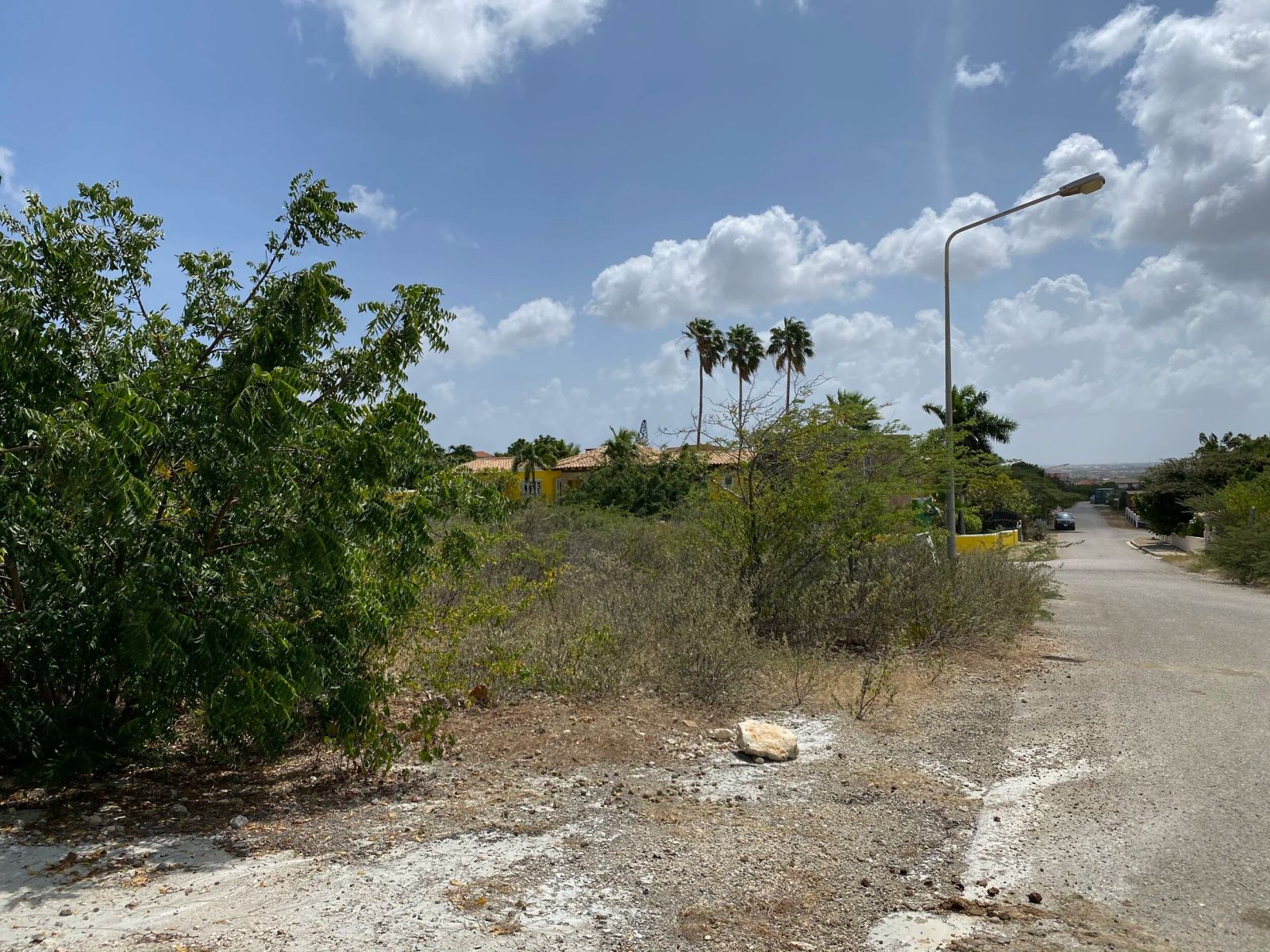 Lot in Bonaire — photo 3