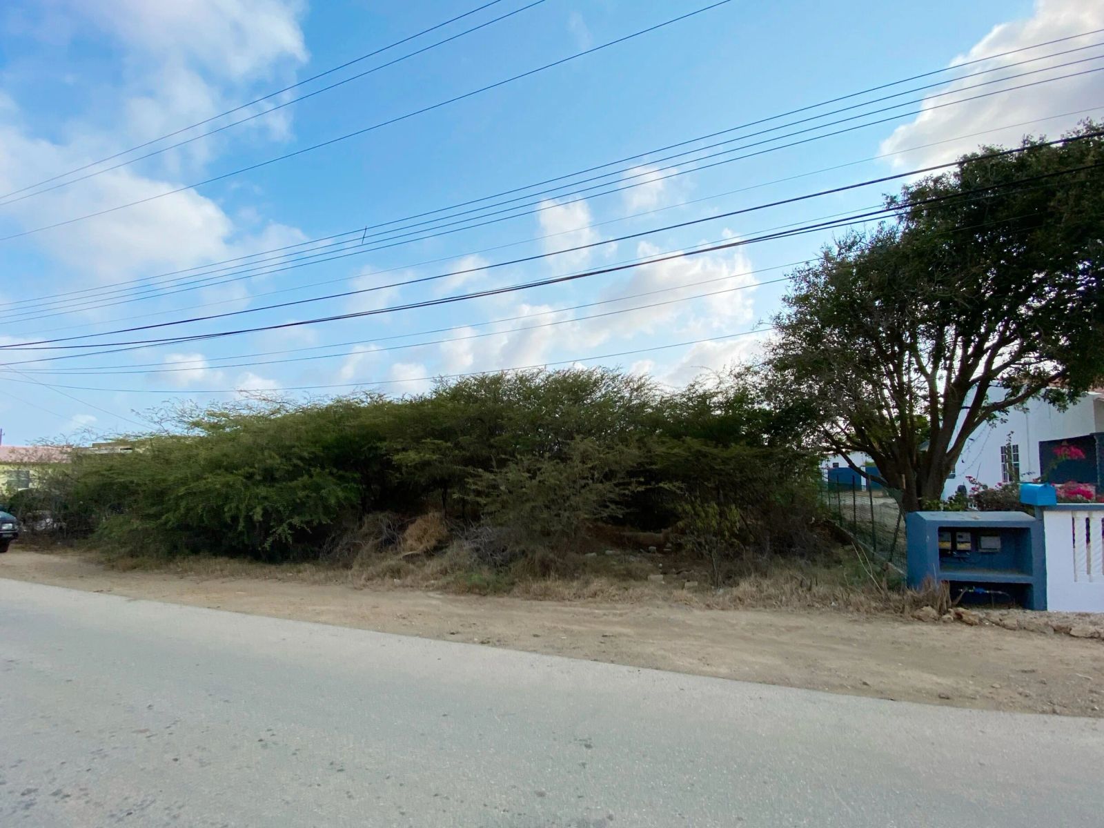 Lot in Bonaire — photo 3