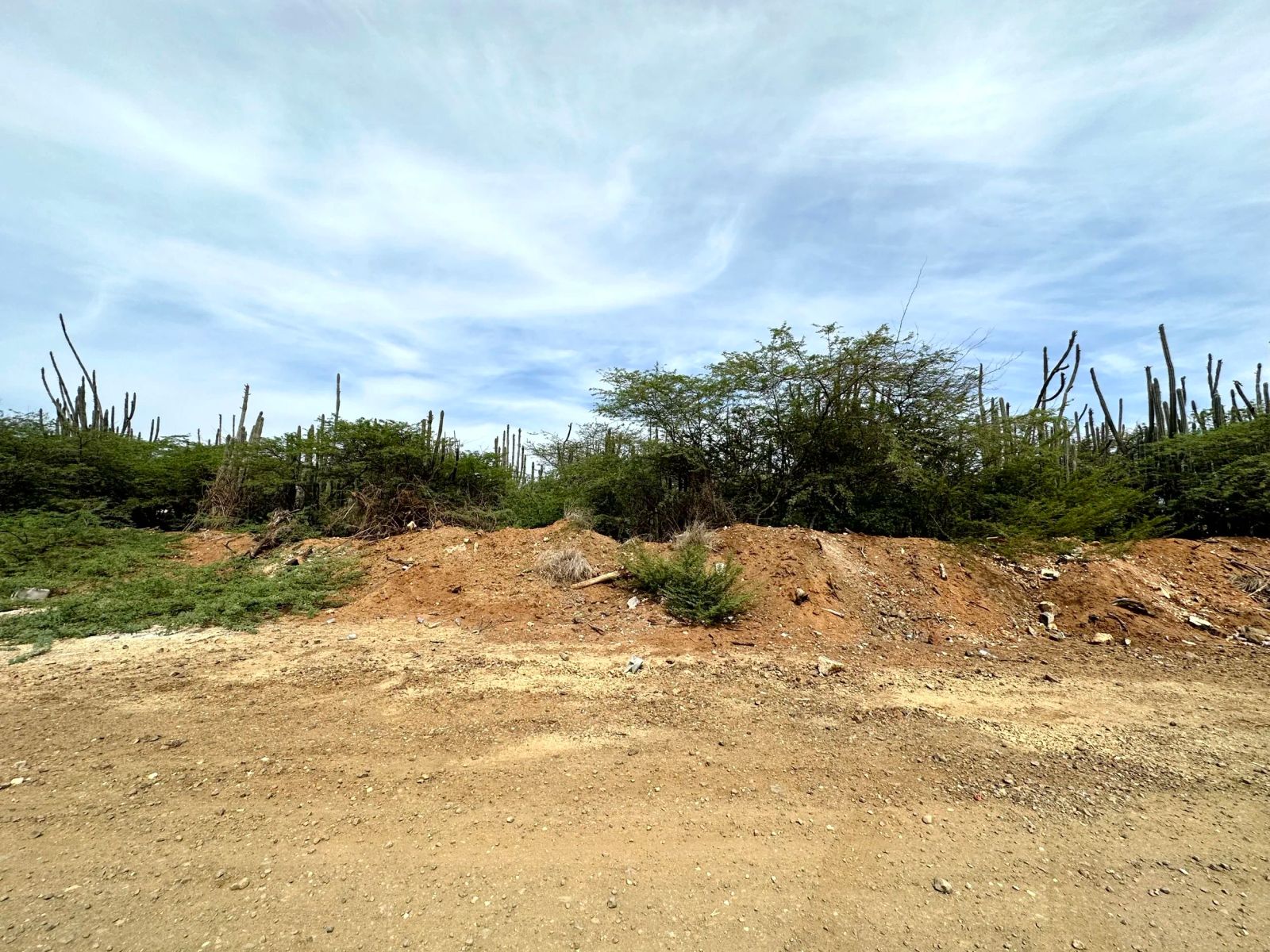 Lot in Bonaire — photo 2