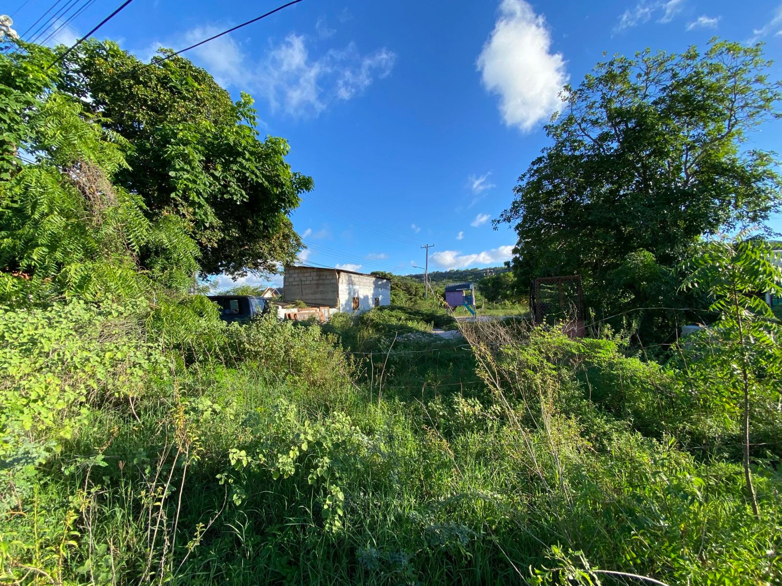 Lot in Rincon — photo 5