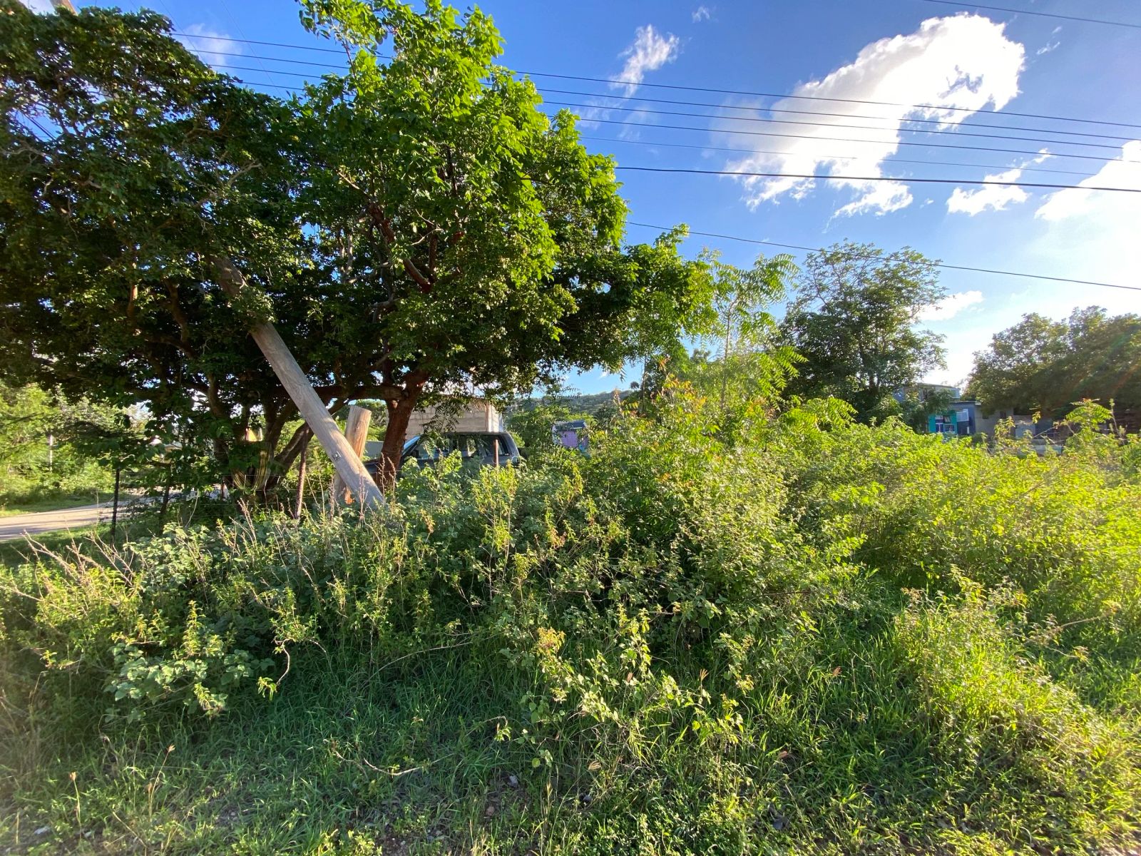 Lot in Rincon — photo 4
