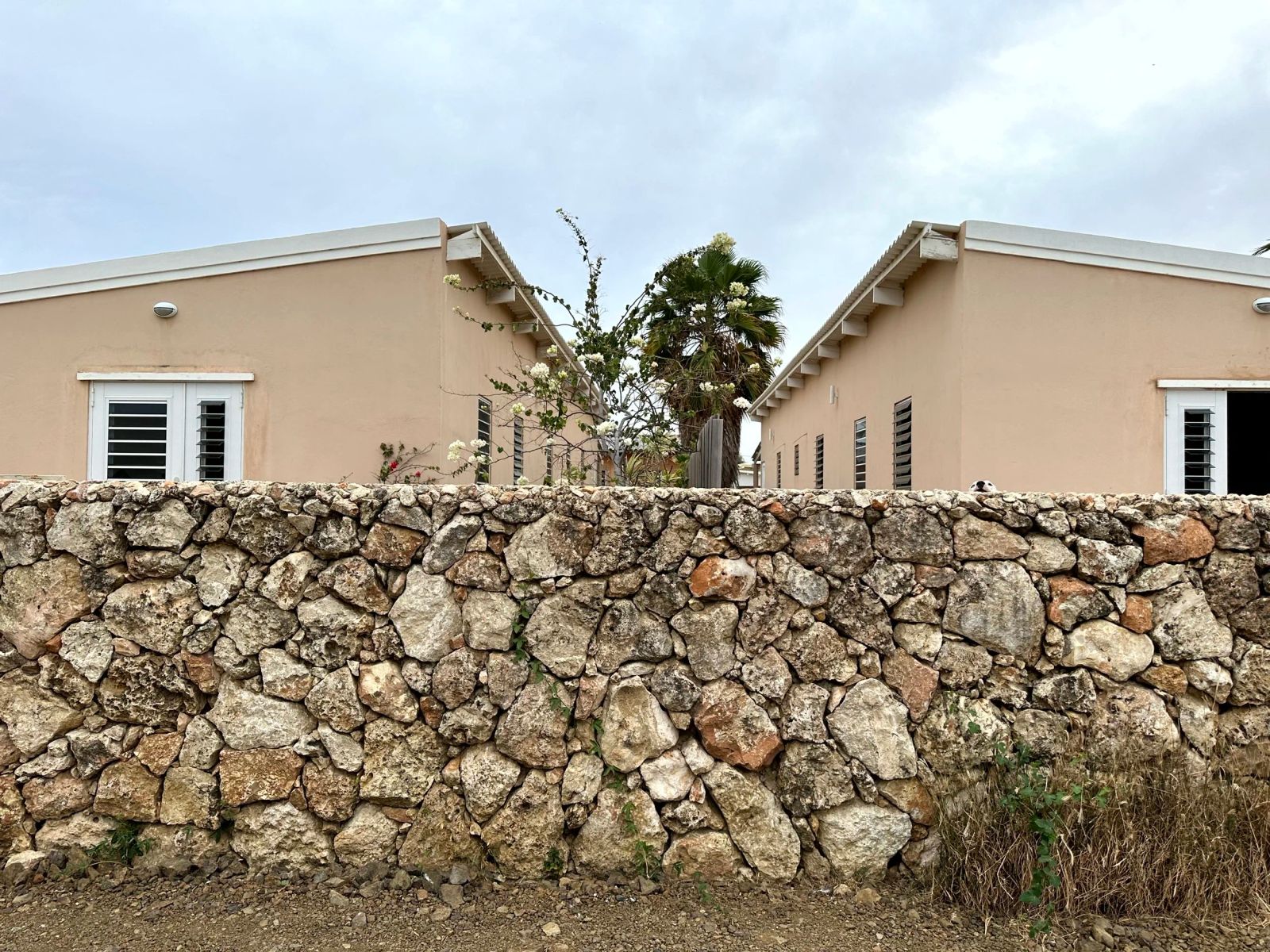 House in Bonaire — photo 3