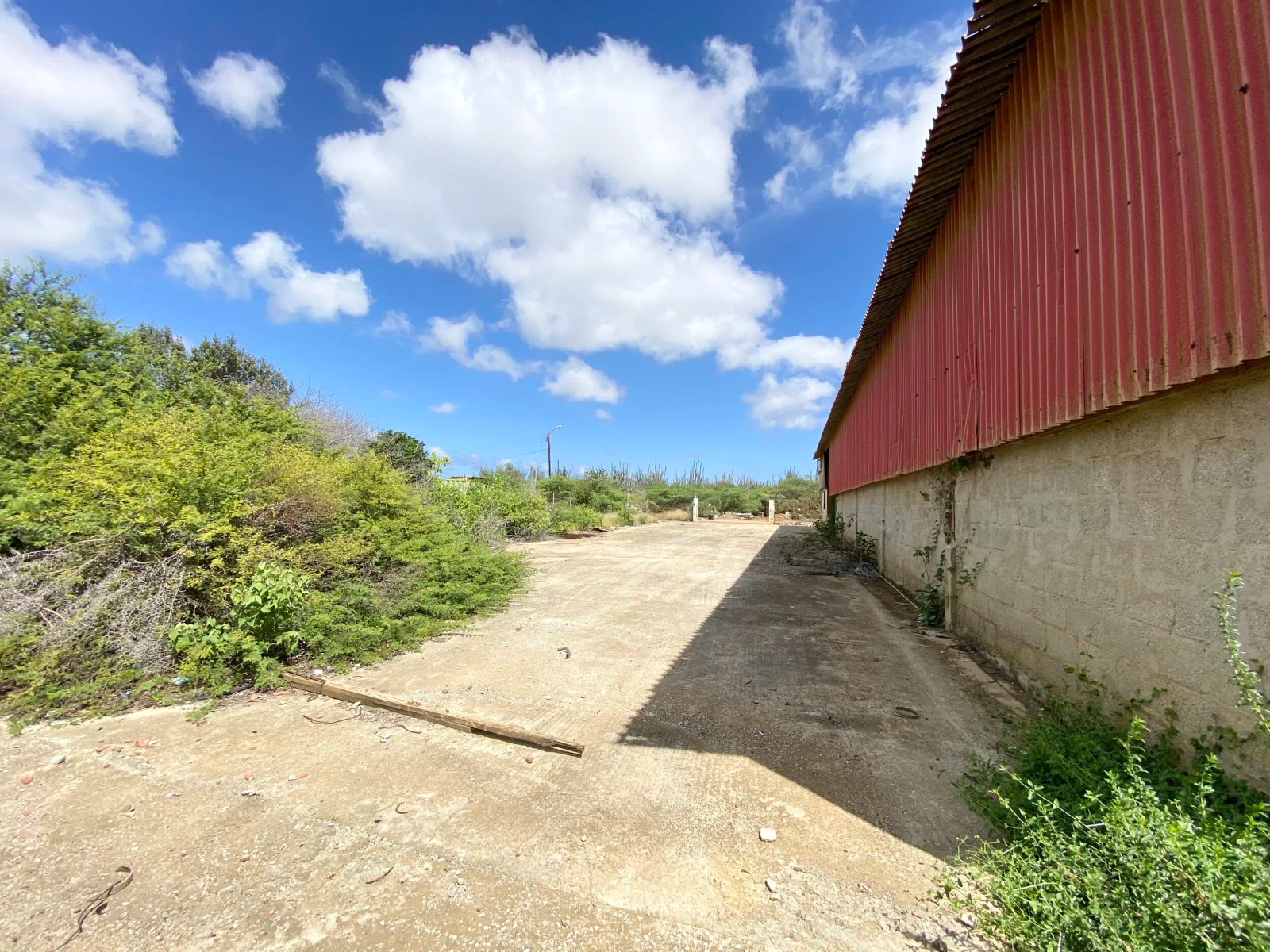 Commercial in Bonaire — photo 4