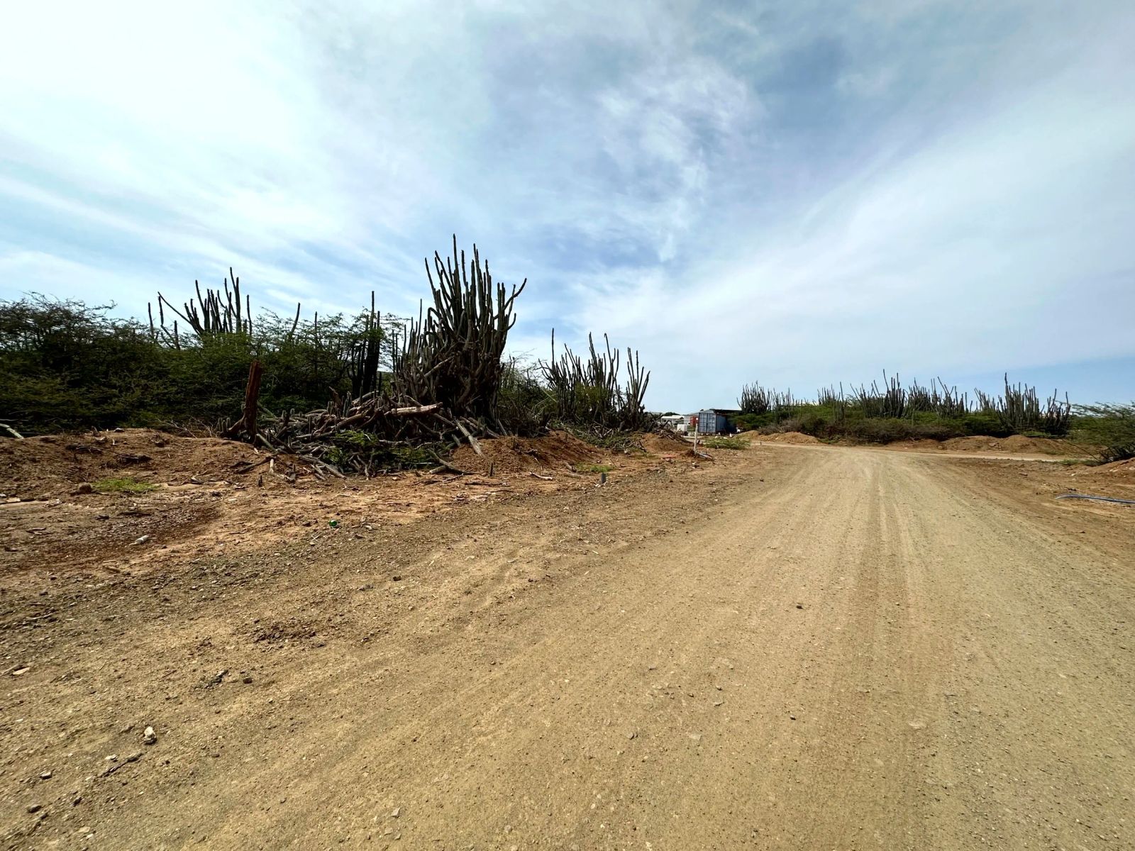 Lot in Bonaire — photo 3