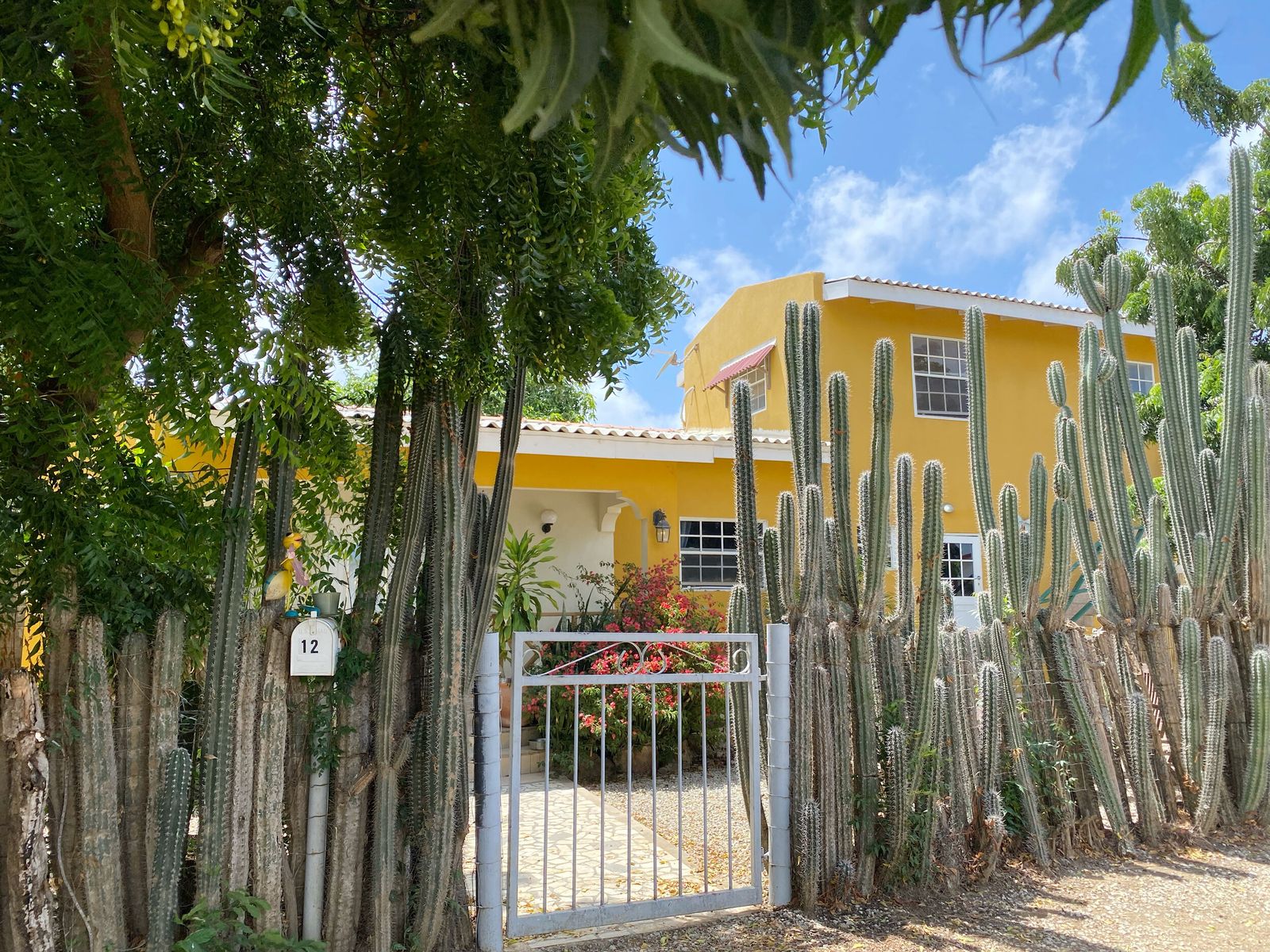 Commercial in Bonaire — photo 2