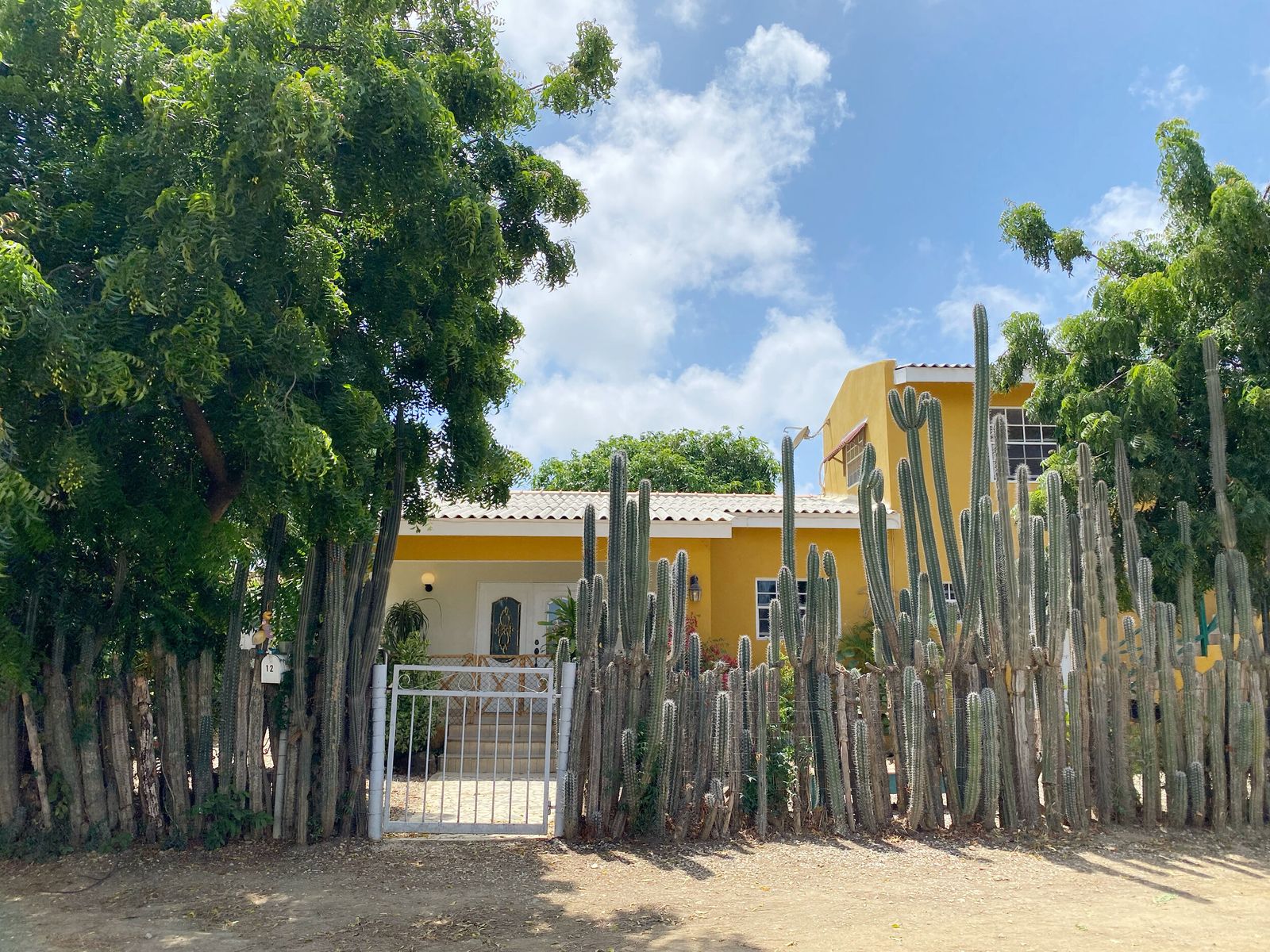 Commercial in Bonaire — photo 4