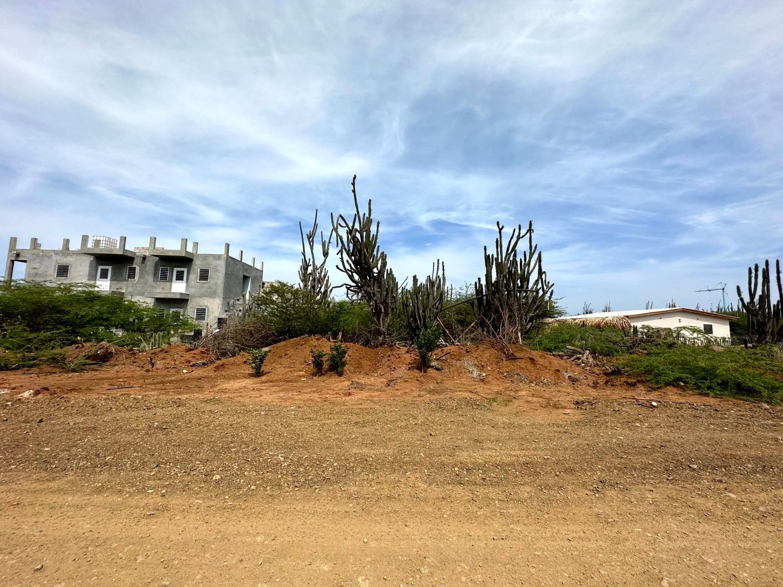 Lot in Bonaire — photo 3