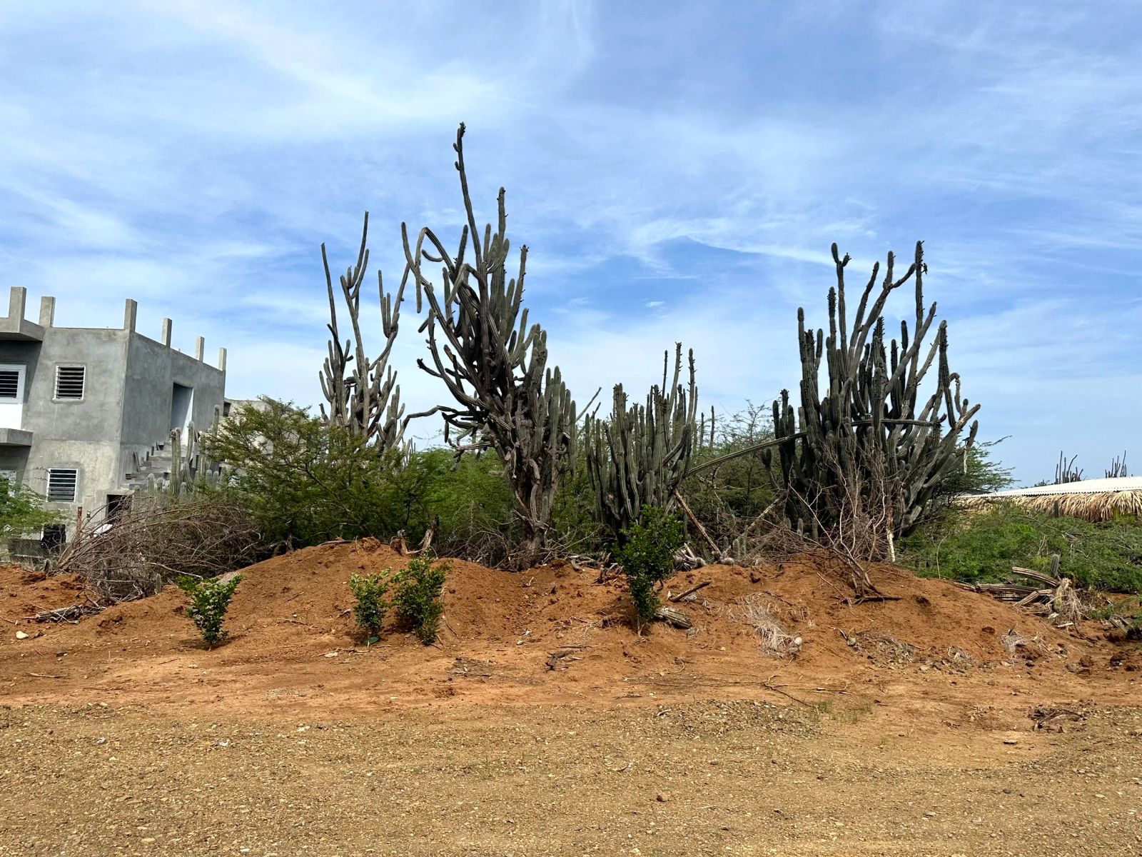 Lot in Bonaire — photo 2