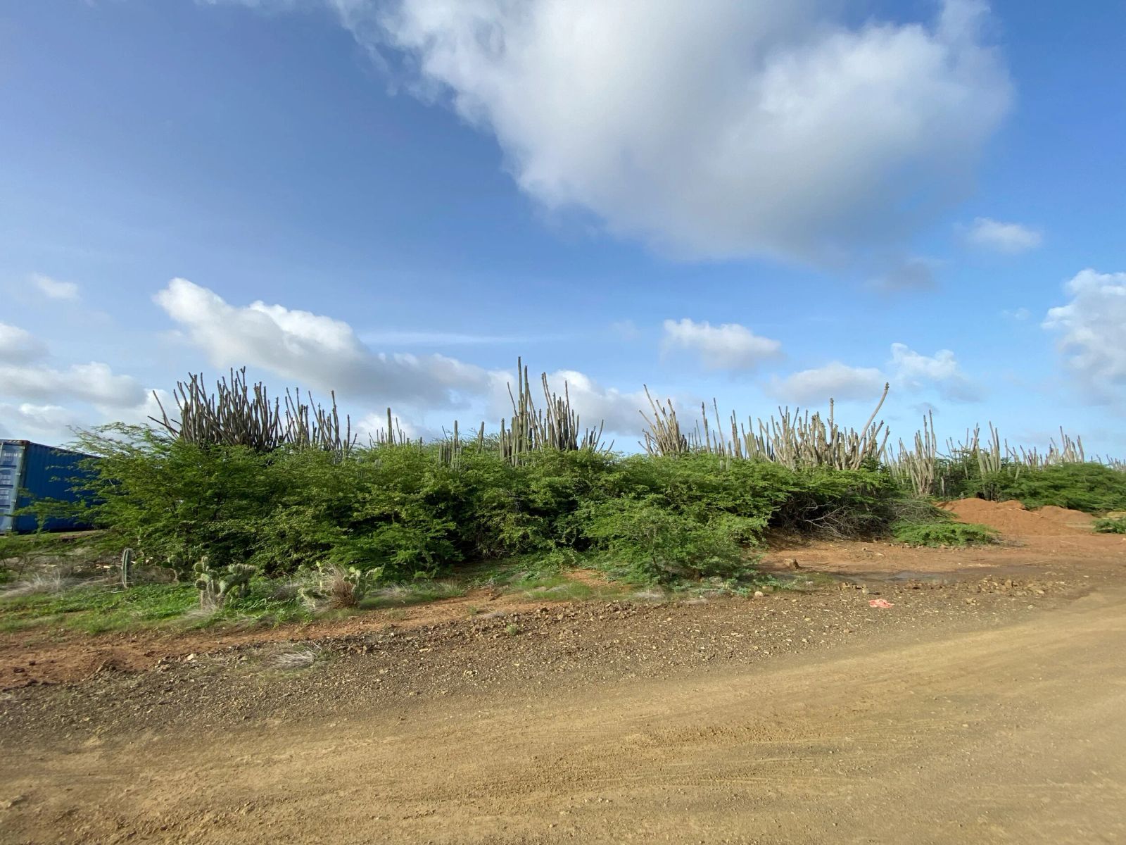 Lot in Bonaire — photo 4