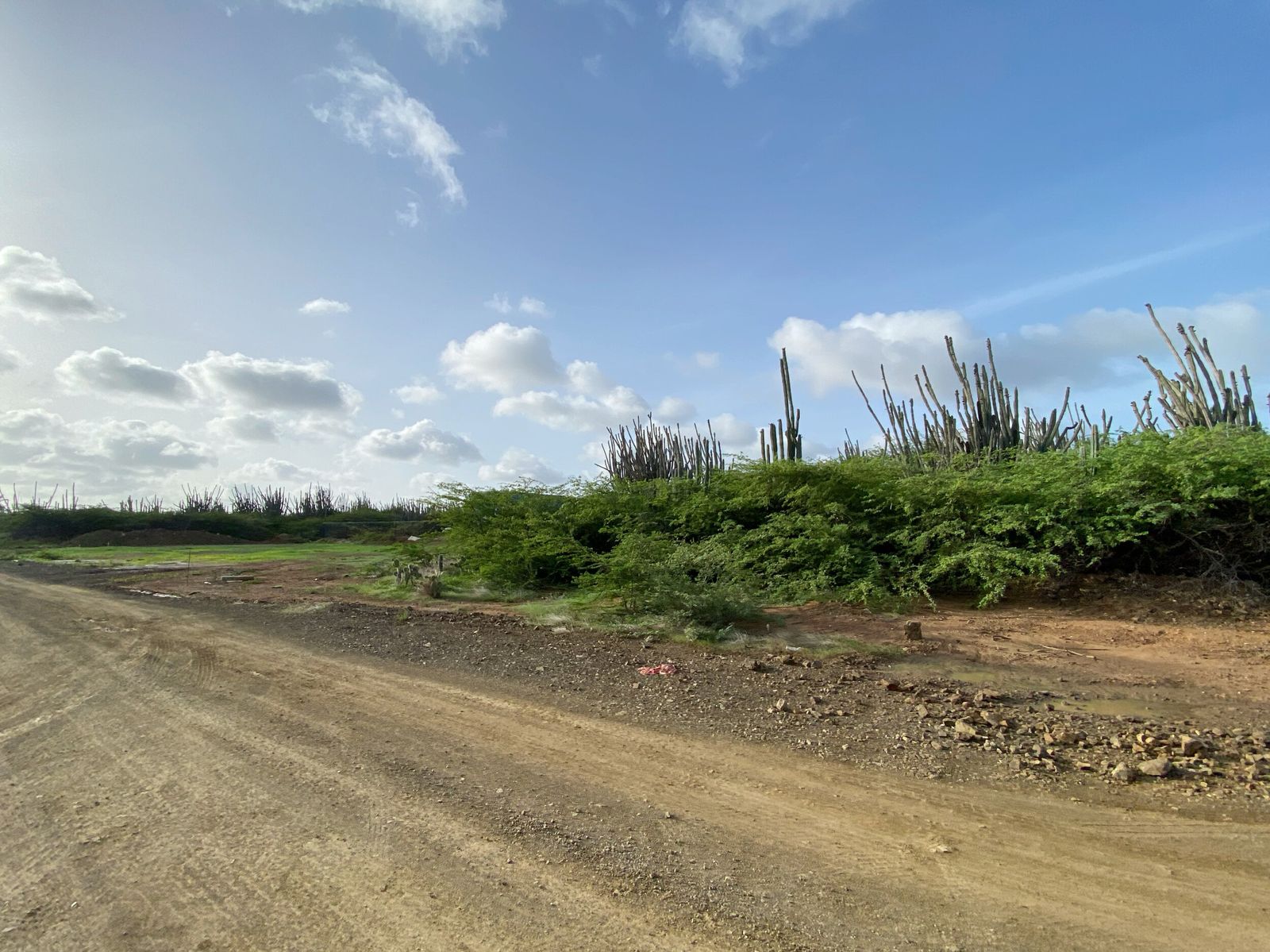 Lot in Bonaire — photo 3