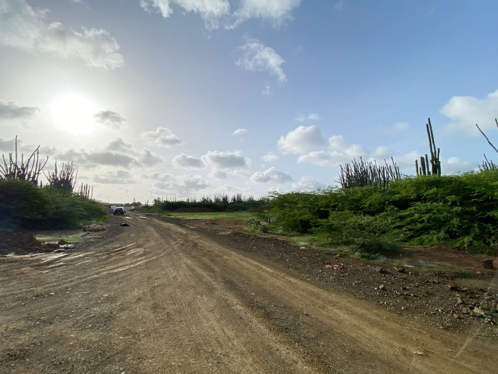 Lot in Bonaire — photo 5