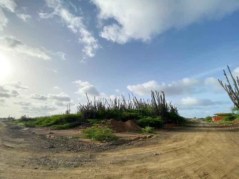 Lot 1105 – Lot in Bonaire