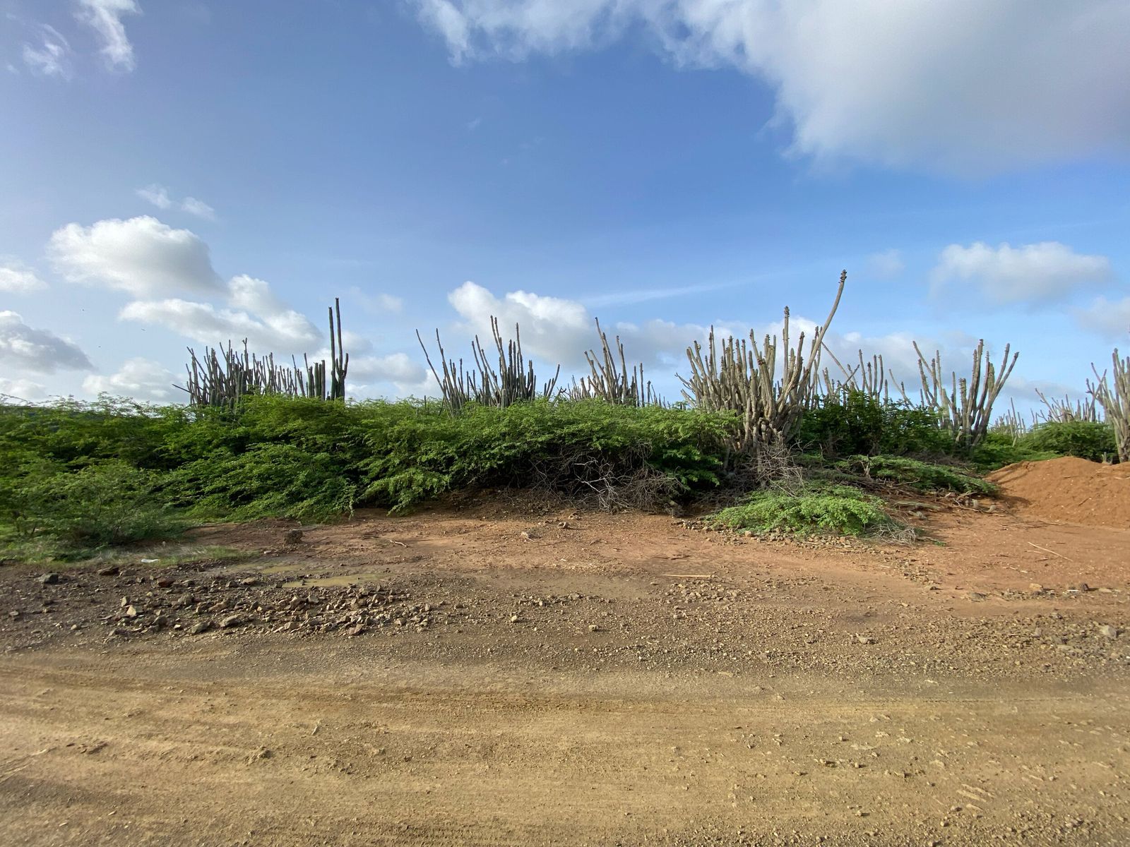 Lot in Bonaire — photo 2