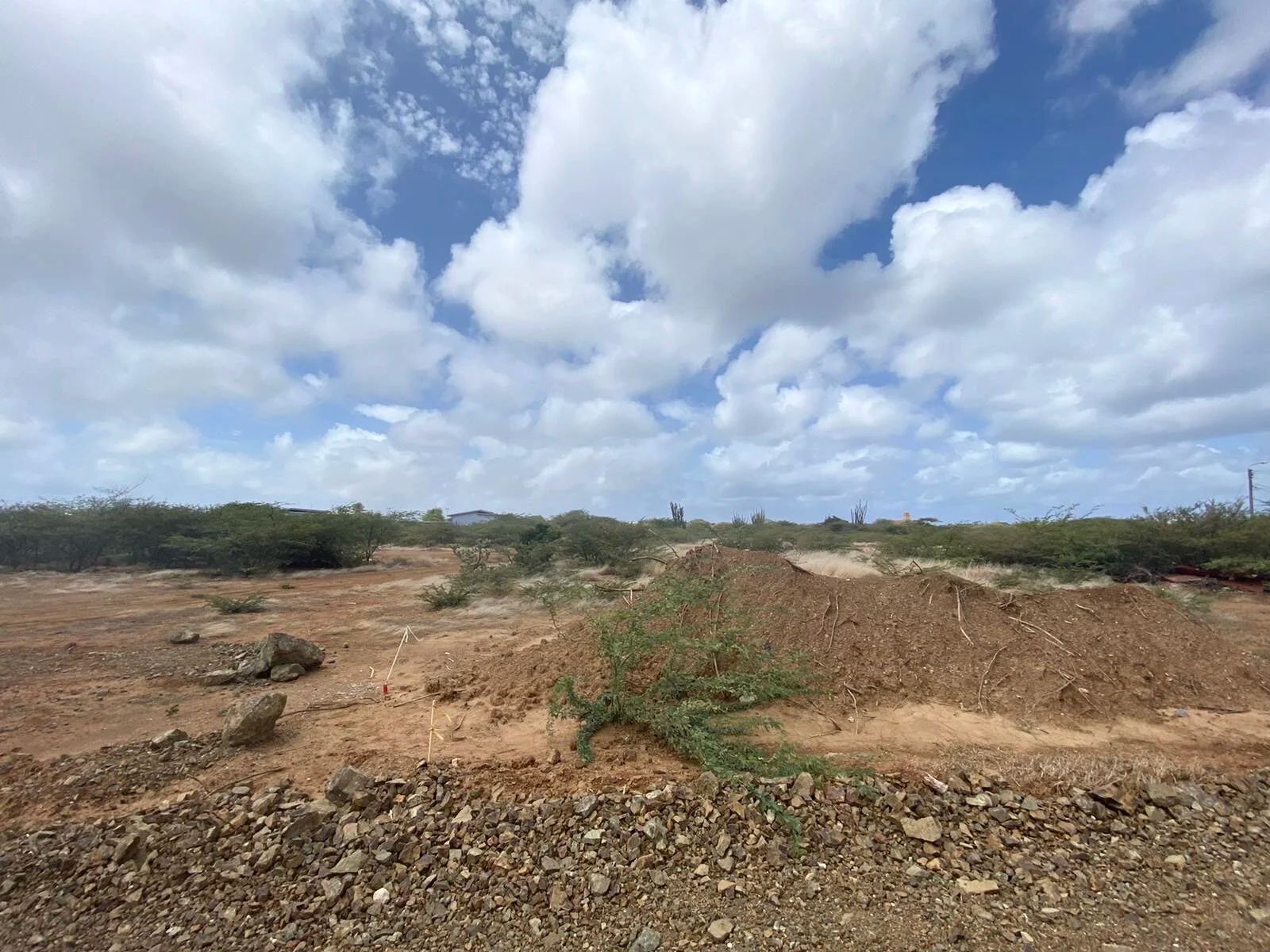 Lot in Bonaire — photo 2