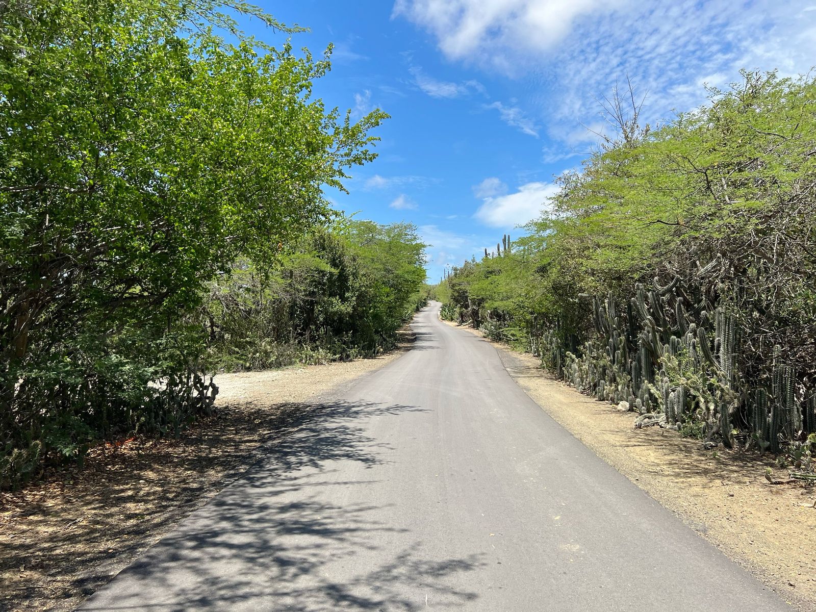 lot for sale in Republiek, Bonaire