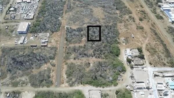 Lot in Bonaire — photo 3