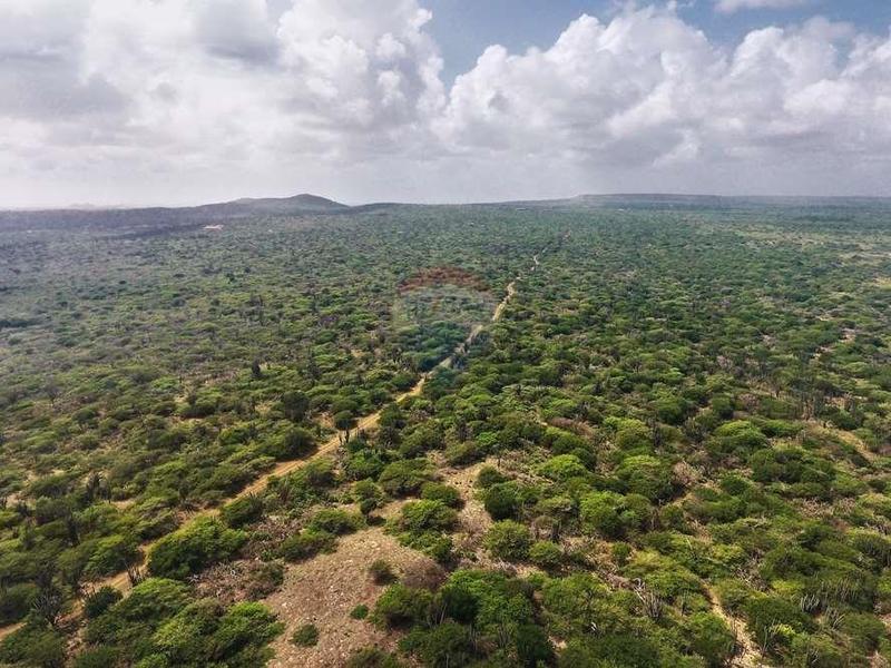 Rare 30-Acre Building Plot in Luga Aleha – Lot in Kunuku Area