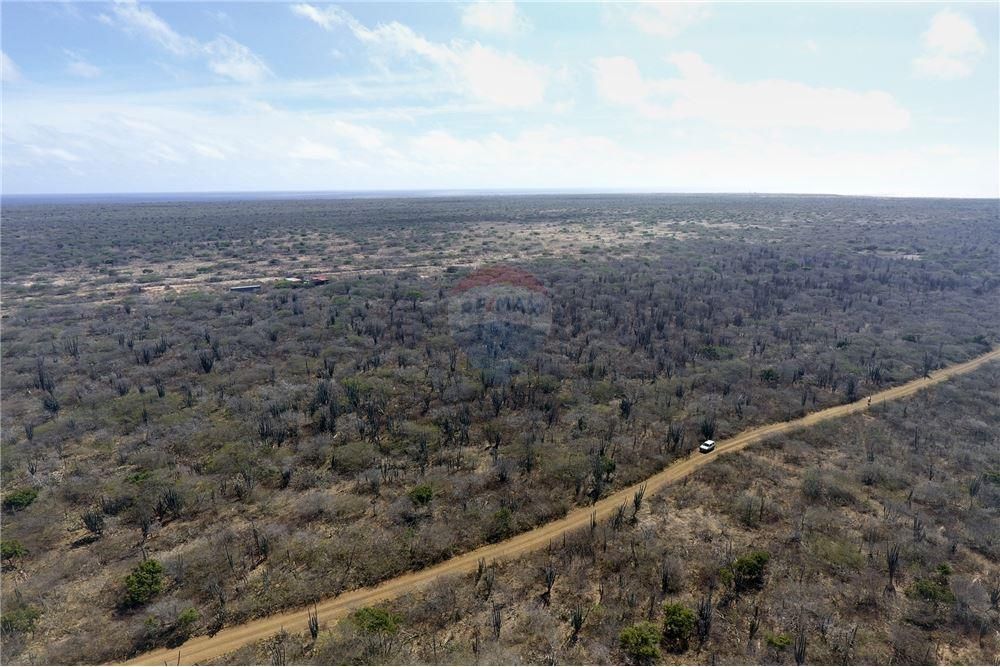 Lot in Kunuku Area — photo 4