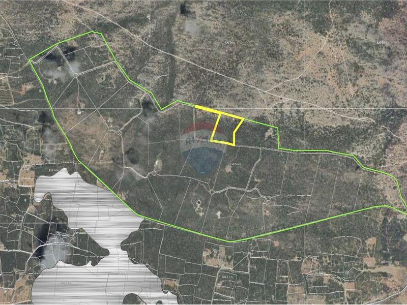 Spacious Lot in the Middle of Nature – Lot in Kunuku Area