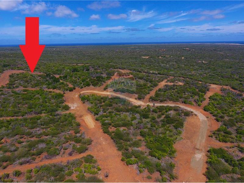 Living off the grid in the middle of nature – Lot in Kunuku Area