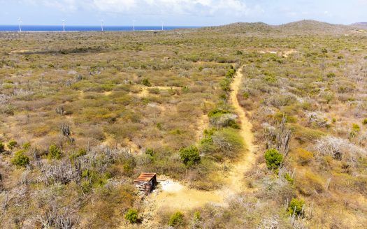 Lot in Rincon — photo 5