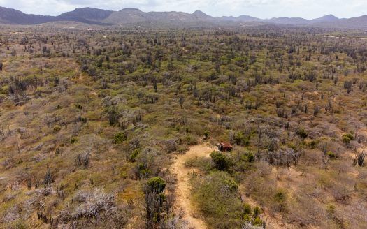 Lot in Rincon — photo 3