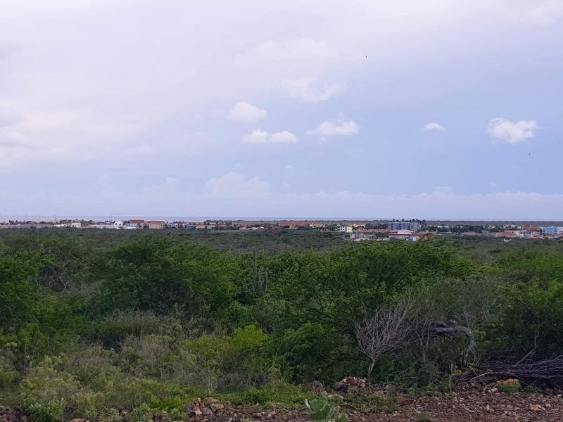 Plot Santa Barbara – Lot in Santa Barbara